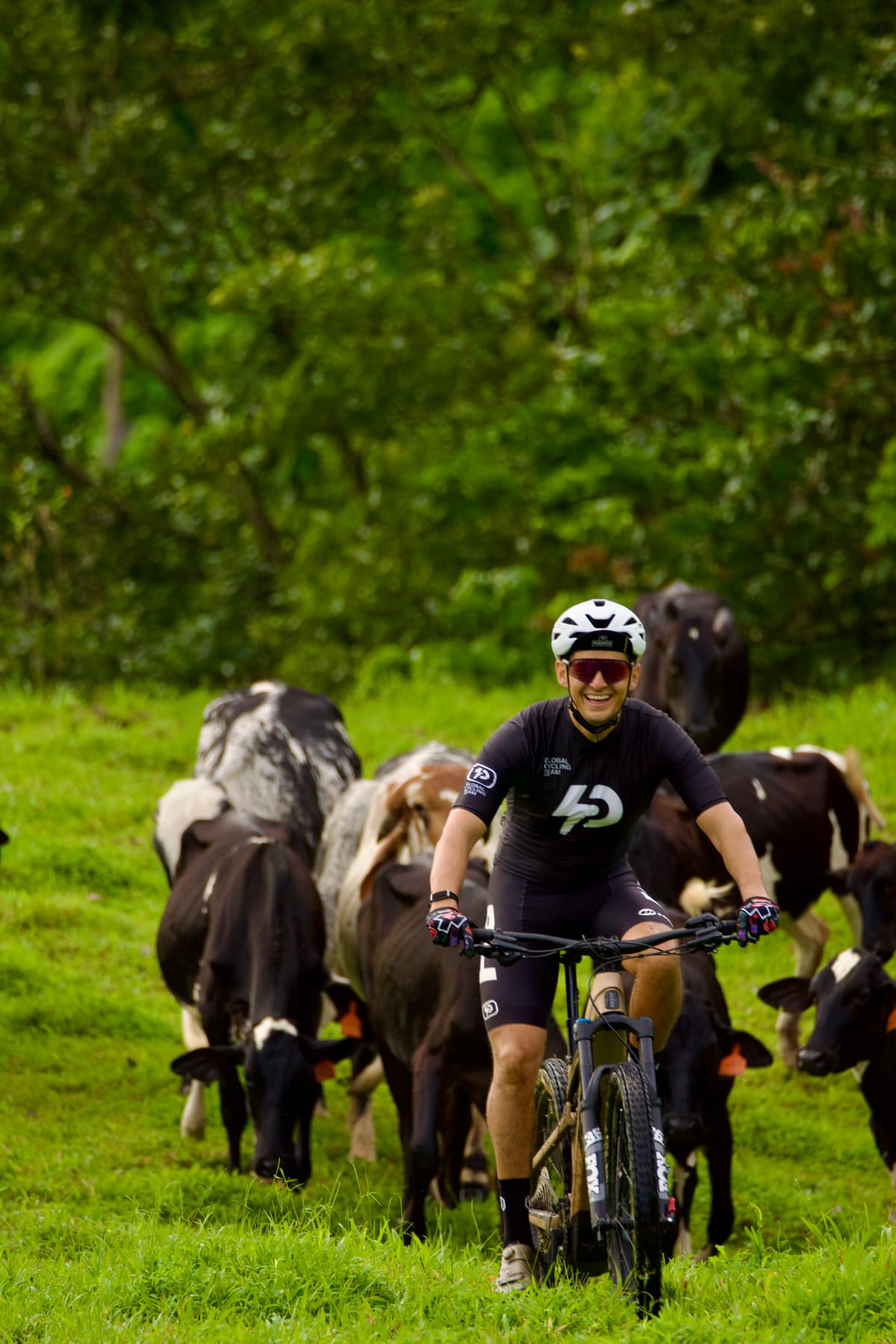 Tony Alvarado en bicicleta de montaña entre el ganado, en el campo costarricense